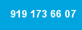 919 173 66 07